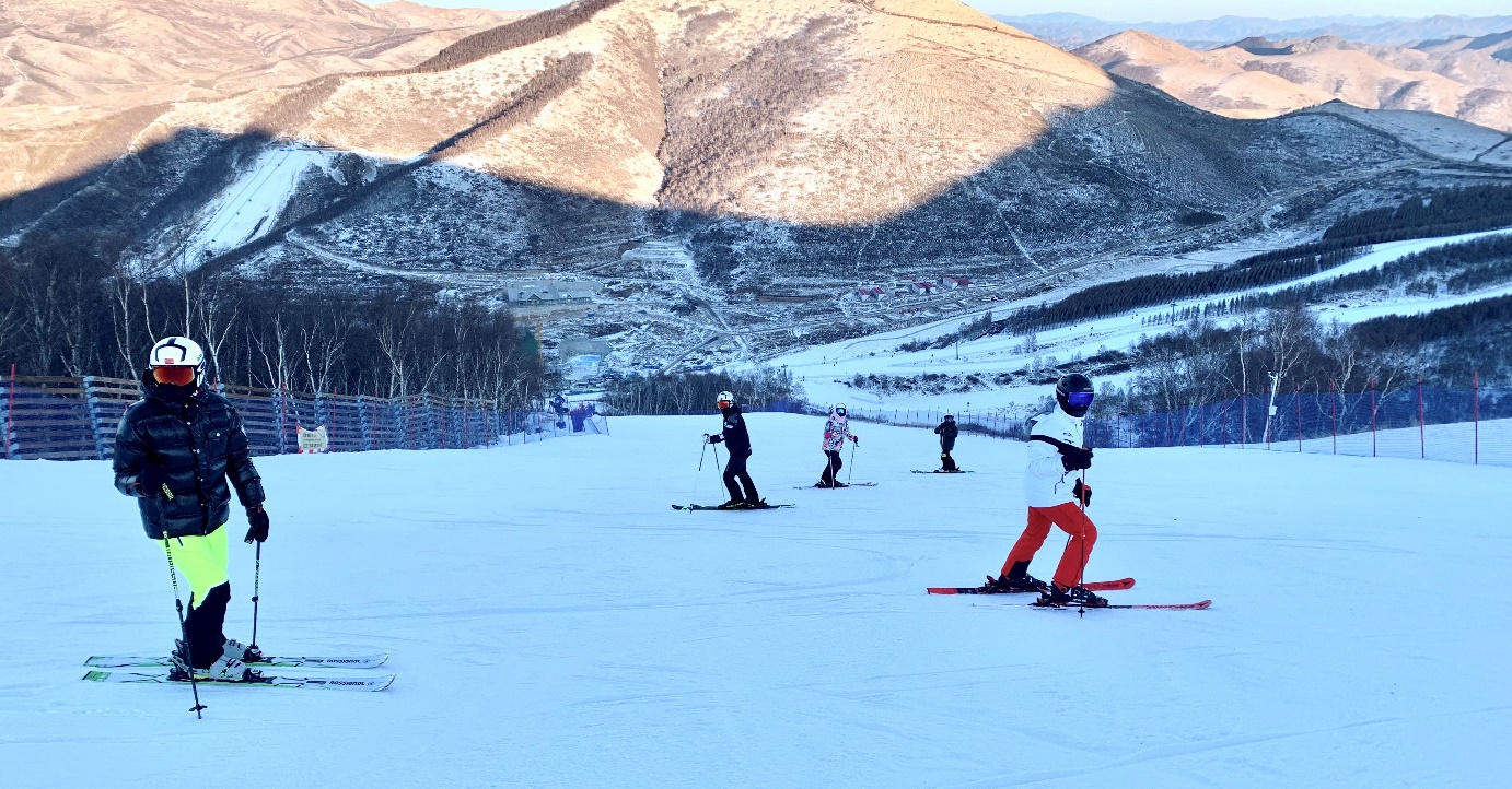 image005.jpg image005.jpg