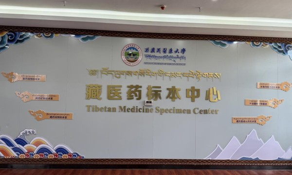 【援医情长】匠心传承藏医药瑰宝 标本馆筑起雪域医学殿堂 ——走进西藏藏医药大学藏医药标本馆（一）